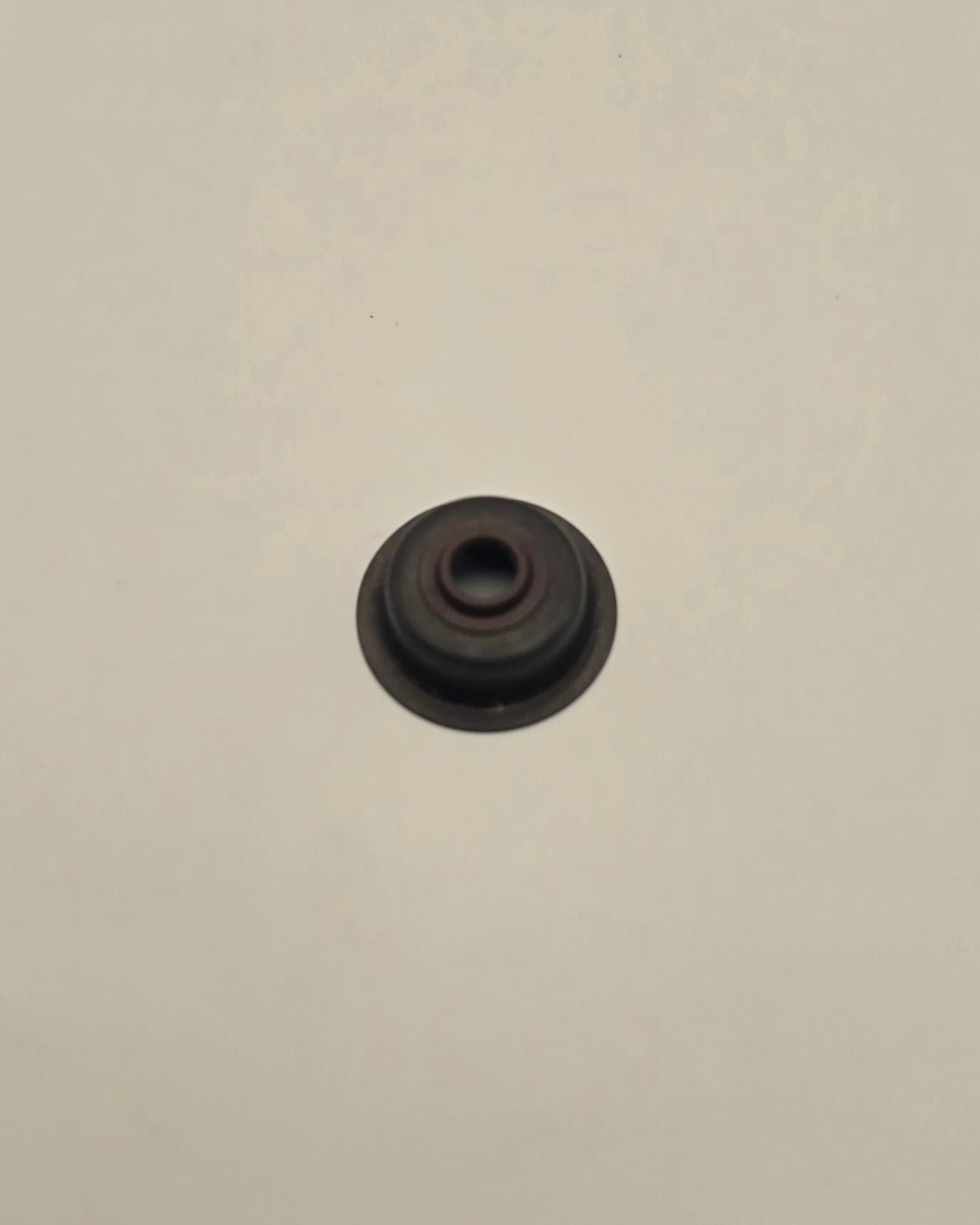 Intake Valve Seal