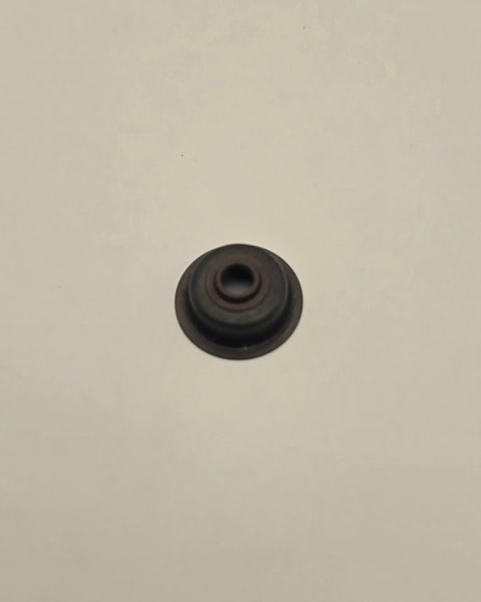 Intake Valve Seal