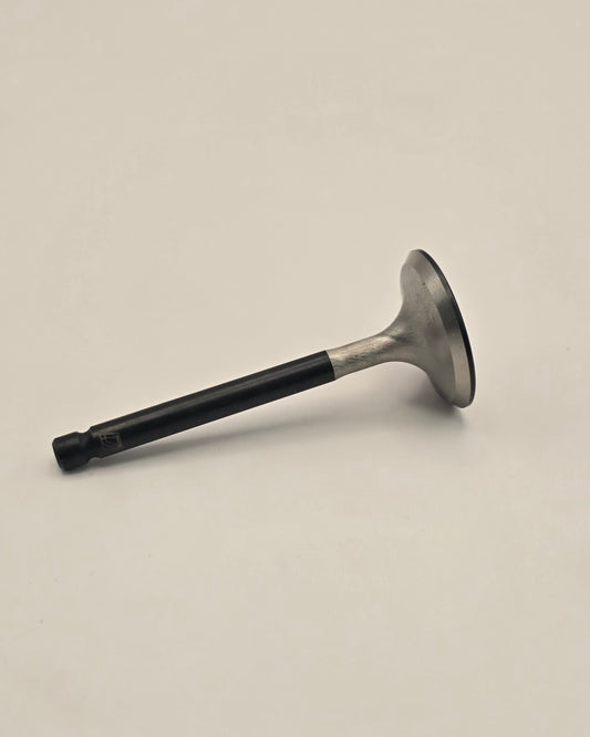 25mm Stainless Intake Valve